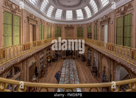 Hohen Winkel Blick vom ersten Stock in den ovalen Raum im Teylers Museum, Haarlem, Nordholland, Niederlande. Stockfoto
