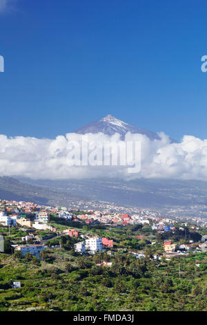 Blick über das Orotavatal auf Pico DeTeide, Teneriffa, Kanarische Inseln, Spanien Stockfoto