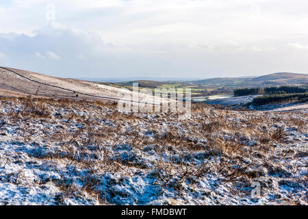 Nach Schneefall im Dartmoor National Park in der Nähe von Postbridge, England, UK, Europa. Stockfoto