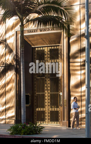 Rodeo Drive in Beverly Hills, Los Angeles,L.A.California,U.S.A.,California,U.S.A.,United Staaten von Amerika, Palme, exklusive, Stockfoto