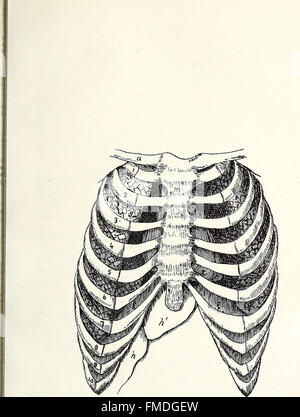 „Erziehung von Gehörlosen“ (1888) ist ein Leitfaden für Erzieher, die mit Gehörlosen oder Hörgeschädigten arbeiten. Sie umfasst Strategien für den Unterricht, Kommunikationsmethoden und Techniken zur Unterstützung von Lernen und Entwicklung. Stockfoto