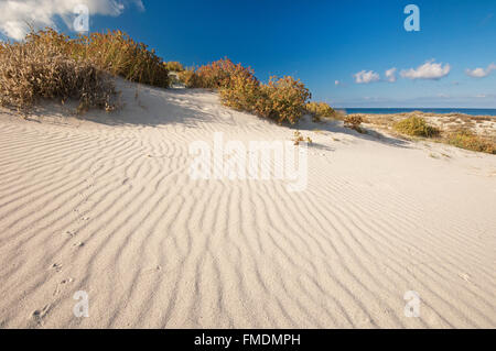 Siniscola, Sardinien, Italien, 10/2012. Sanddünen am Strand von Capo Comino in einem hellen und sonnigen Tag Stockfoto