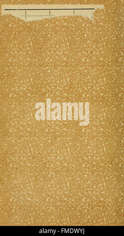 Diese Arbeit präsentiert detaillierte Geschichten von 251 Divisionen der deutschen Armee, die am Ersten Weltkrieg teilgenommen haben, und beschreibt deren Strategien, Engagements und Ergebnisse während des Konflikts 1914-1918. Stockfoto