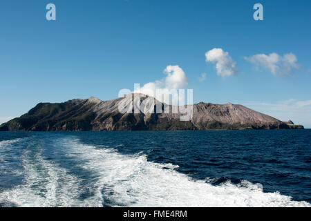 Dampf steigt aus dem Krater des White Island, ein Vulkan 48 km vor der Küste Neuseelands in der Bay of Plenty. Stockfoto