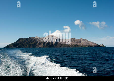 Dampf steigt aus dem Krater des White Island, ein Vulkan 48 km vor der Küste Neuseelands in der Bay of Plenty. Stockfoto