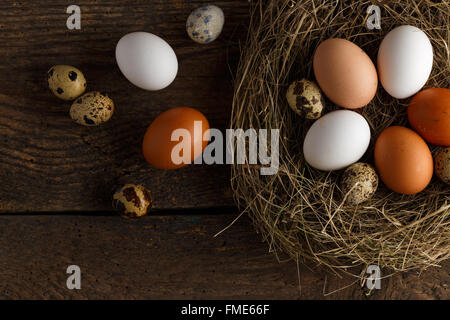 Frische Hähnchen und Wachteln Eiern in einem Nest auf einem hölzernen rustikalen Hintergrund Stockfoto