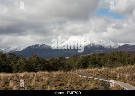 Beeindruckende Stratovulkan Ngauruhoe ist die jüngste der aktiven Vulkane im Tongariro National Park. Sein Krater ist 2291 m hoch Stockfoto