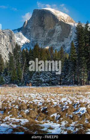 Schöne Half Dome im Yosemite National Park Winter mit Schnee bedeckt Stockfoto