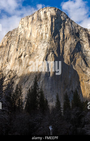 El Capitan, Famous Bergbesteigung hautnah Stockfoto