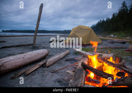 Backcountry Camping an Nels Bight, Cape Scott Provincial Park, Vancouver Island, British Columbia Stockfoto