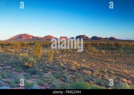 Kata Tjuta / Olgas (UNESCO-Weltkulturerbe), Uluru-Kata Tjuta National Park, Northern Territory, Australien Stockfoto