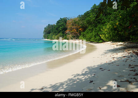 Radha Nagar Strand in Havelock Island, Andamanen, Indien. Diese einsamen Strand, umgeben von dichtem Wald ist Asiens beste Strand. Stockfoto