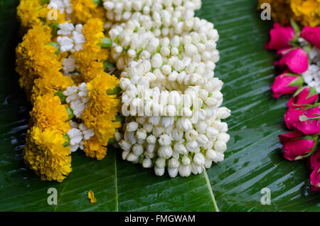 Thai-Stil Girlande am Blumenmarkt in Thailand Stockfoto