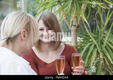 Junge rothaarige Frau spricht mit blonden mittlere gealterte Frau im Wintergarten sitzen. Stockfoto