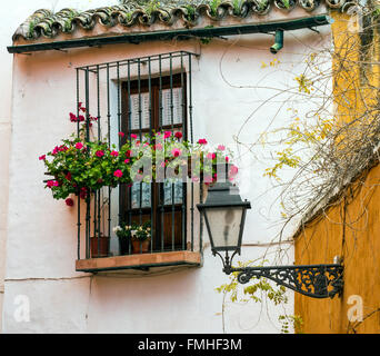 Malerische Ecke des Santa Cruz Viertel, Sevilla, Andalusien, Spanien