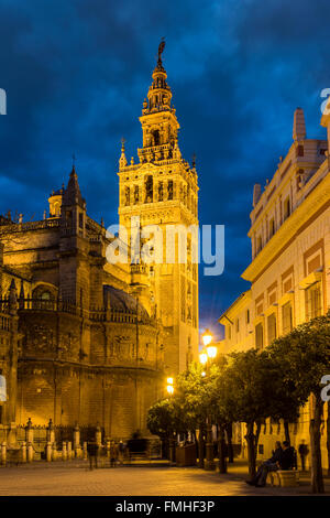 Nacht-Blick auf die Giralda bell Tower, Sevilla, Andalusien, Spanien Stockfoto