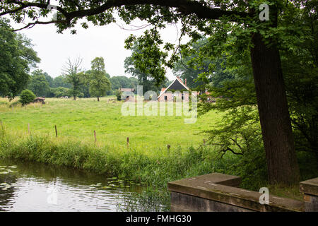 Bauernhaus mit grünen Wiese und Baum auf Fourground in der Nähe von einem kleinen Graben Stockfoto