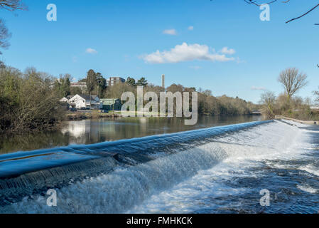 Das Wehr am Fluss Taff in Llandaff, Cardiff Stockfoto