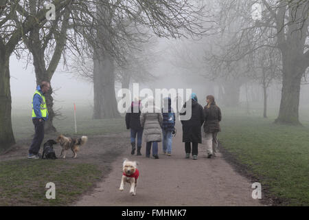 Nonsuch Park, Cheam, Surrey, UK. 12. März 2016. Es war ein nebliger Start in den Tag, wie die Frühaufsteher einen mit ihren Hunden an der Nonsuch Park, Cheam, Surrey, UK Spaziergang. Bildnachweis: Julia Gavin UK/Alamy Live-Nachrichten Stockfoto