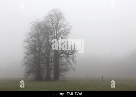 Nonsuch Park, Cheam, Surrey, UK. 12. März 2016. Es war ein nebliger Start in den Tag, wie die Frühaufsteher einen an der Nonsuch Park, Cheam, Surrey, UK Spaziergang. Bildnachweis: Julia Gavin UK/Alamy Live-Nachrichten Stockfoto