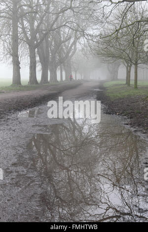 Nonsuch Park, Cheam, Surrey, UK. 12. März 2016. Es war ein nebliger Start in den Tag Nonsuch Park, Cheam, Surrey, UK. Bildnachweis: Julia Gavin UK/Alamy Live-Nachrichten Stockfoto