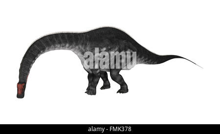 Digital Rendern eines Dinosauriers Apatosaurus isoliert auf weißem Hintergrund Stockfoto