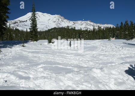 Mount Shasta Straße, Kalifornien, USA, Schnee bedeckt Pisten mit Berggipfel in der Ferne und hohen Nadelbäumen Stockfoto