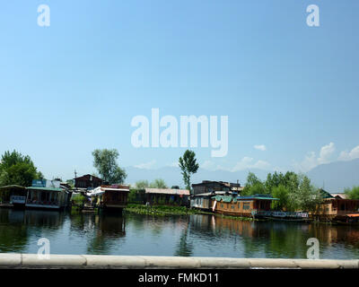 Hausboote in Dal Lake, Srinagar, Kaschmir, mit schwimmenden Nutzgärten Hintergrund, Verpflegung und Unterkunft Stockfoto