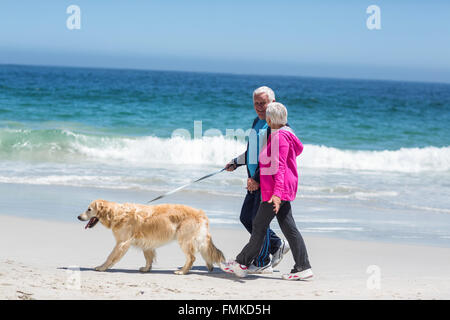 Niedlich älteres paar Spaziergang mit ihrem Hund Stockfoto