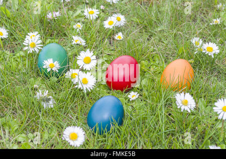 Ostereier auf der Wiese voller Blumen-Gänseblümchen Stockfoto