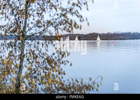 Segeln auf dem Stausee bei Leistung Landschaftspark Cannock uk Stockfoto