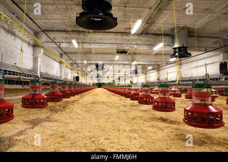 Moderne und neue automatisierte integrierte Geflügelfarm Stockfoto