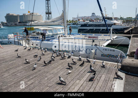 Marina Port Vell, Barcelona, Spanien. World Trade Center Barcelona aufbauend auf Hintergrund Stockfoto