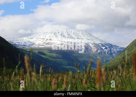 Berg Gaustatoppen in der Nähe von Rjukan, Norwegen, Sommerlandschaft Stockfoto