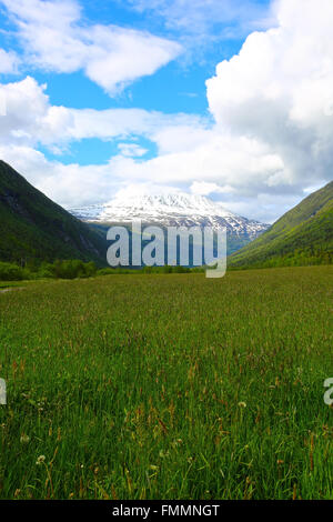 Berg Gaustatoppen in der Nähe von Rjukan, Norwegen, Sommerlandschaft Stockfoto