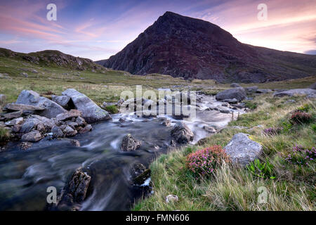 Afon Idwal & Stift Yr Ole Wen Berg bei Sonnenaufgang im Sommer, Cwm Idwal, Glyderau, Snowdonia-Nationalpark, Nordwales Stockfoto