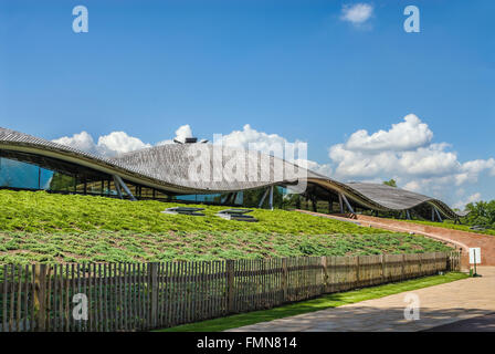 Savill Garden, einem geschlossenen Teil des Windsor Great Park erstellt von Sir Eric Savill in den 1930er Jahren, Surrey, England Stockfoto