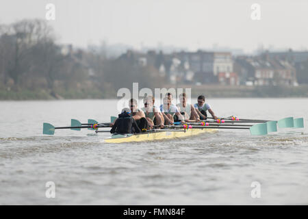 VEREINIGTES KÖNIGREICH. 12. März 2016. Boat Race Finale Befestigungen vor der Regatta. Cambridge University Boat Club V Deutsch unter 23 s. CUBC:, B) Felix Newman, 2) Ali Abbasi, 3) Charles Fisher, 4) Clemens Auersperg, 5) Luke Juckett, 6) Henry Hoffstot, 7) Ben Rubel, S) Lance Tredell, C) Ian Middleton. Bildnachweis: Duncan Grove/Alamy Live-Nachrichten Stockfoto