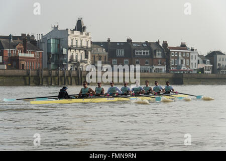 VEREINIGTES KÖNIGREICH. 12. März 2016. Boat Race Finale Befestigungen vor der Regatta. Cambridge University Boat Club V Deutsch unter 23 s. CUBC:, B) Felix Newman, 2) Ali Abbasi, 3) Charles Fisher, 4) Clemens Auersperg, 5) Luke Juckett, 6) Henry Hoffstot, 7) Ben Rubel, S) Lance Tredell, C) Ian Middleton. Bildnachweis: Duncan Grove/Alamy Live-Nachrichten Stockfoto