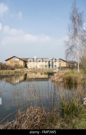 Das London Wetland Centre in Barnes, Südwesten Londons, England, Großbritannien Stockfoto