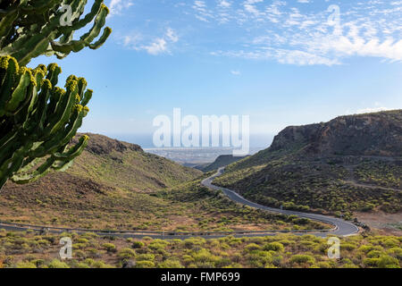 Mirador Degollada de Las Yeguas, Gran Canaria, Kanarische Inseln, Spanien Stockfoto