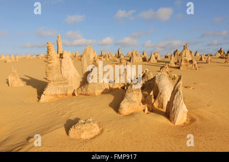 Die Pinnacles, Nambung National Park, Cervantes, Western Australia, WA, Australien Stockfoto