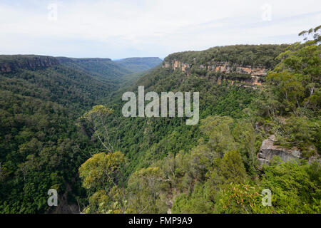 Morton Nationalpark, New South Wales, Australien Stockfoto