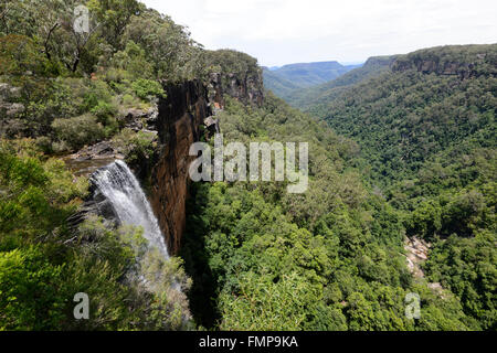 Fitzroy Falls, Morton Nationalpark, New South Wales, Australien Stockfoto