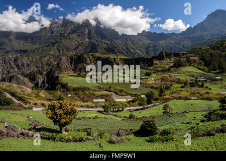 Caldera Cirque de Cilaos, Felder in Cilaos, UNESCO-Weltkulturerbe, Réunion Stockfoto