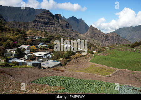 Kleines Dorf und Upland Landwirtschaft in Cilaos, Cirque de Cilaos, Reunion Stockfoto