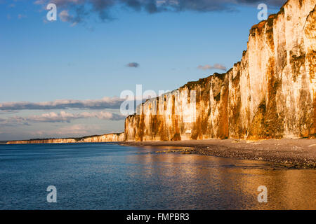 Kreidefelsen an der Küste in der Nähe von Saint-Valery-En-Caux, Département Seine-Maritime, Normandie, Frankreich Stockfoto