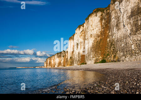 Kreidefelsen an der Küste in der Nähe von Saint-Valery-En-Caux, Département Seine-Maritime, Normandie, Frankreich Stockfoto