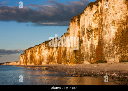 Kreidefelsen an der Küste in der Nähe von Saint-Valery-En-Caux, Département Seine-Maritime, Normandie, Frankreich Stockfoto