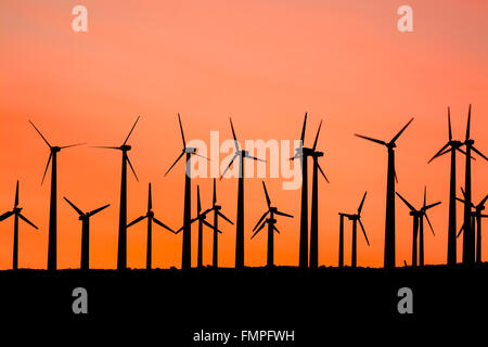 Erneuerbare Energien Windmühlen säumen die Berggipfeln von Palm Springs bei Sonnenuntergang Stockfoto